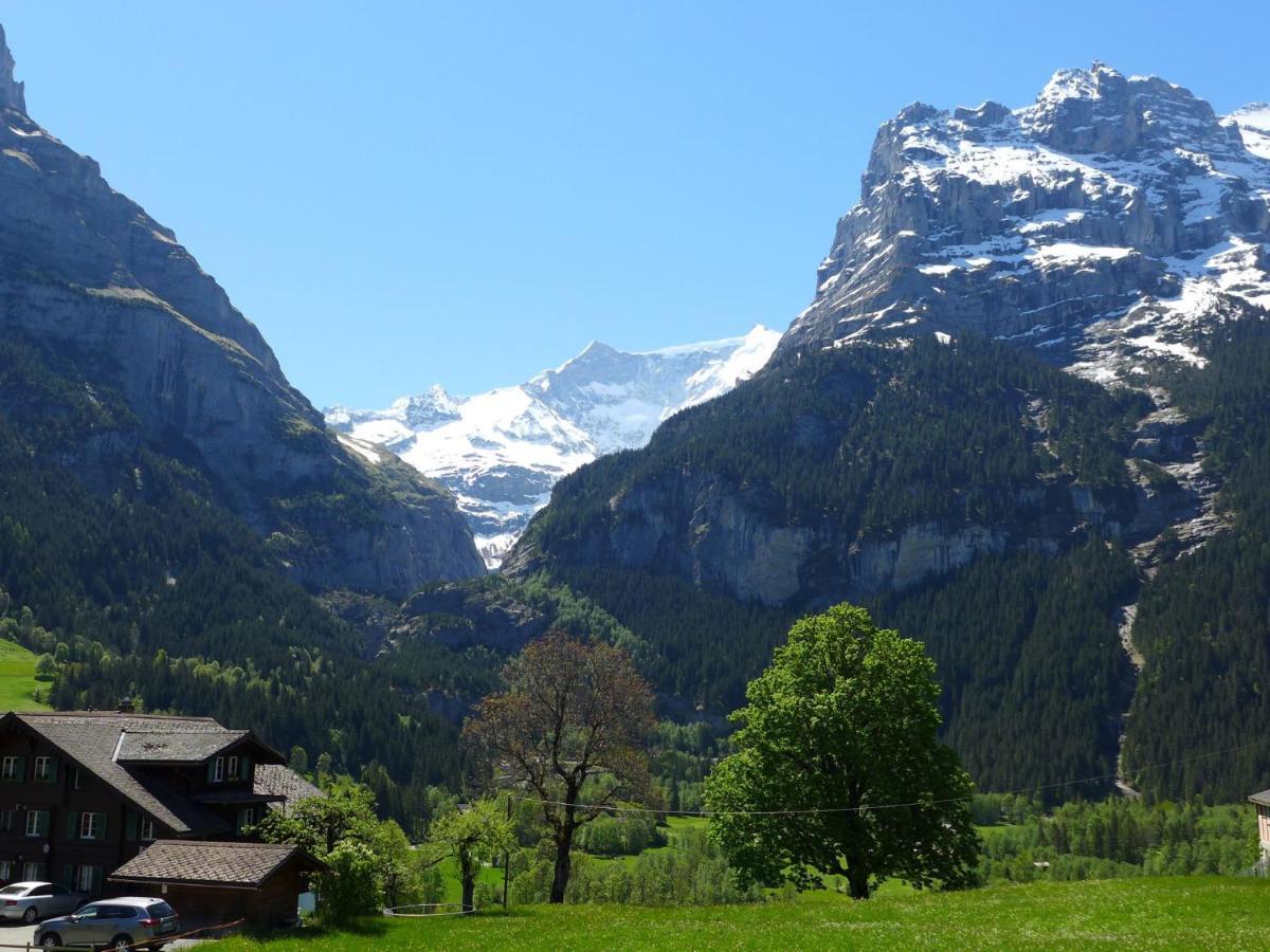 Apartment Chalet Almisgässli Grindelwald Extérieur photo