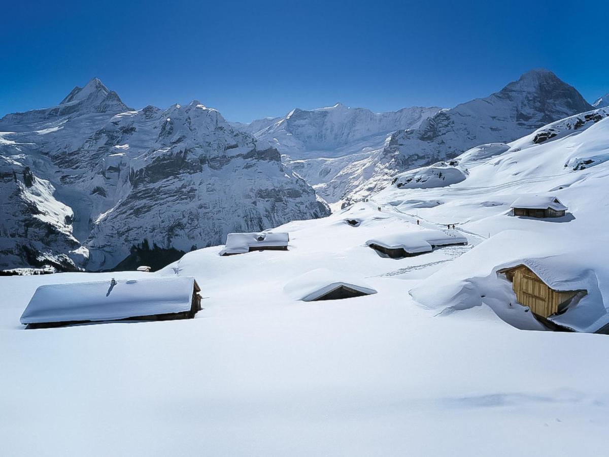 Apartment Chalet Almisgässli Grindelwald Extérieur photo