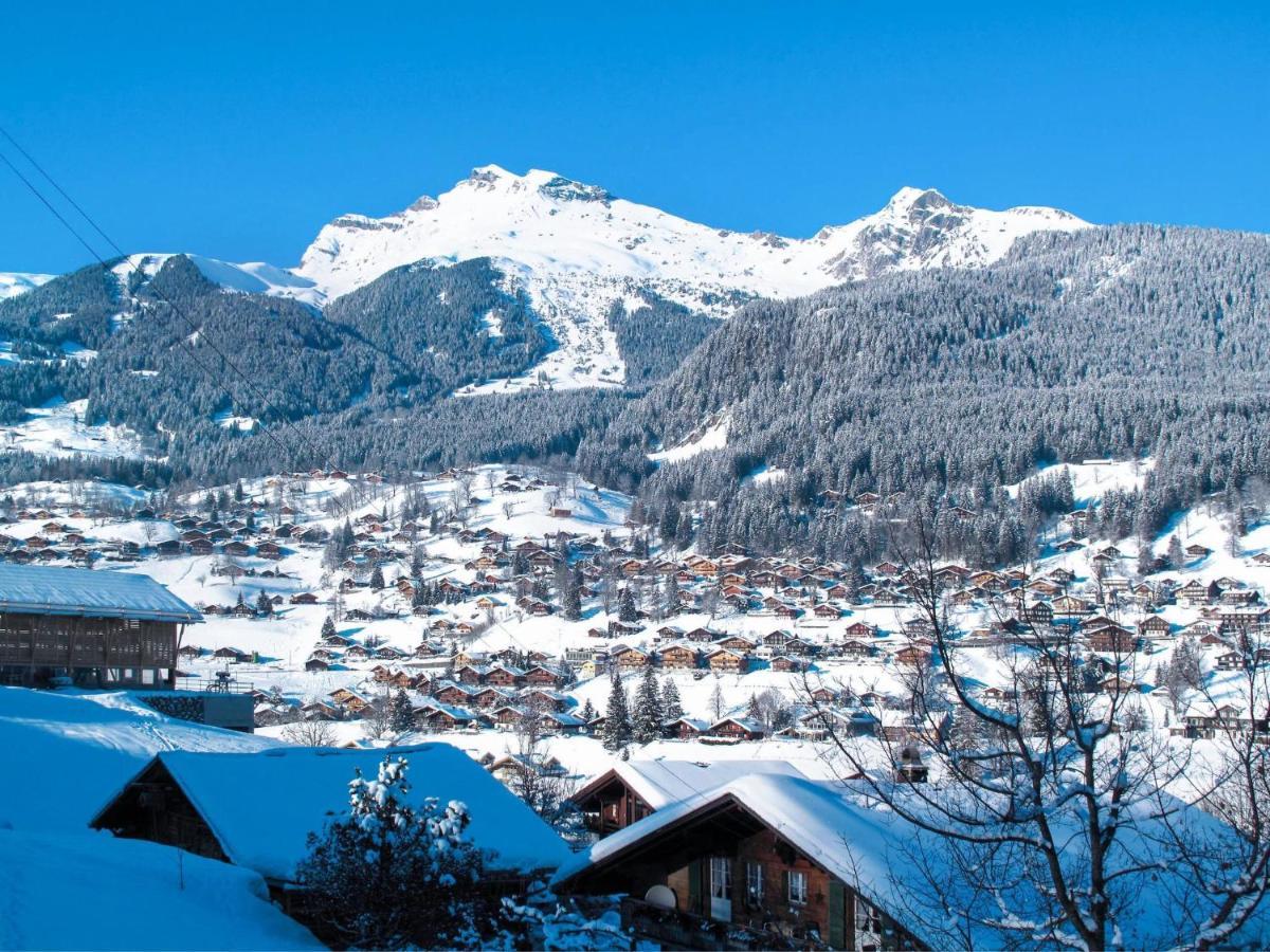 Apartment Chalet Almisgässli Grindelwald Extérieur photo